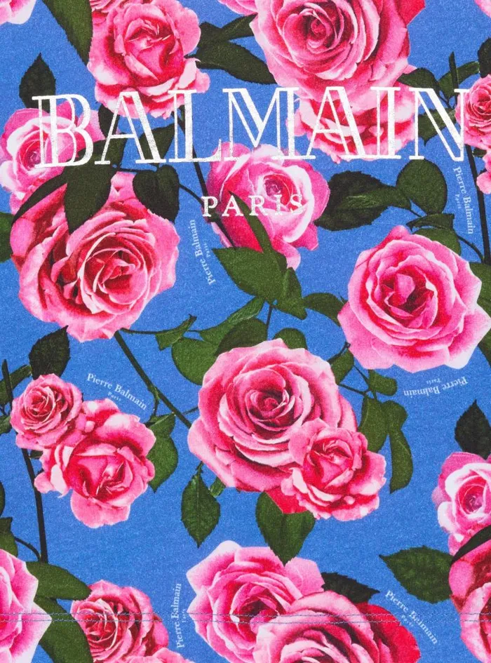 Balmain Girls 410 Years Kids Shortsleeved Vintage Tshirt Multicolor