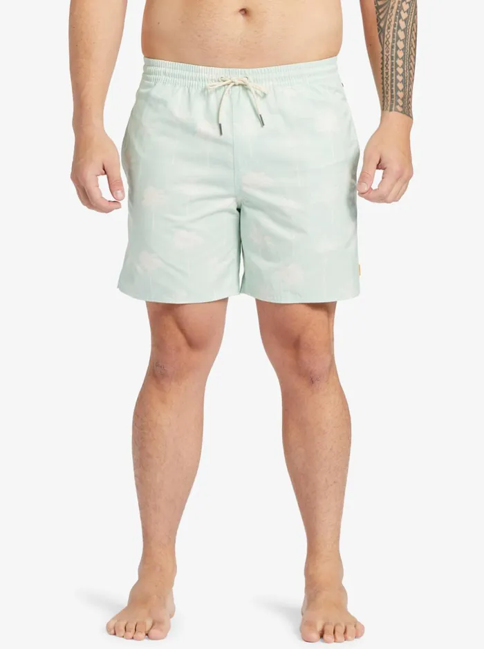 Boardshorts Men Quiksilver Waterman Cliffside 17034 Elastic Waist Shorts Subtle Green Amazed Palm Boardshorts Men Quiksilver Waterman Cliffside 17034 Elastic Waist Shorts Subtle Green Amazed Palm