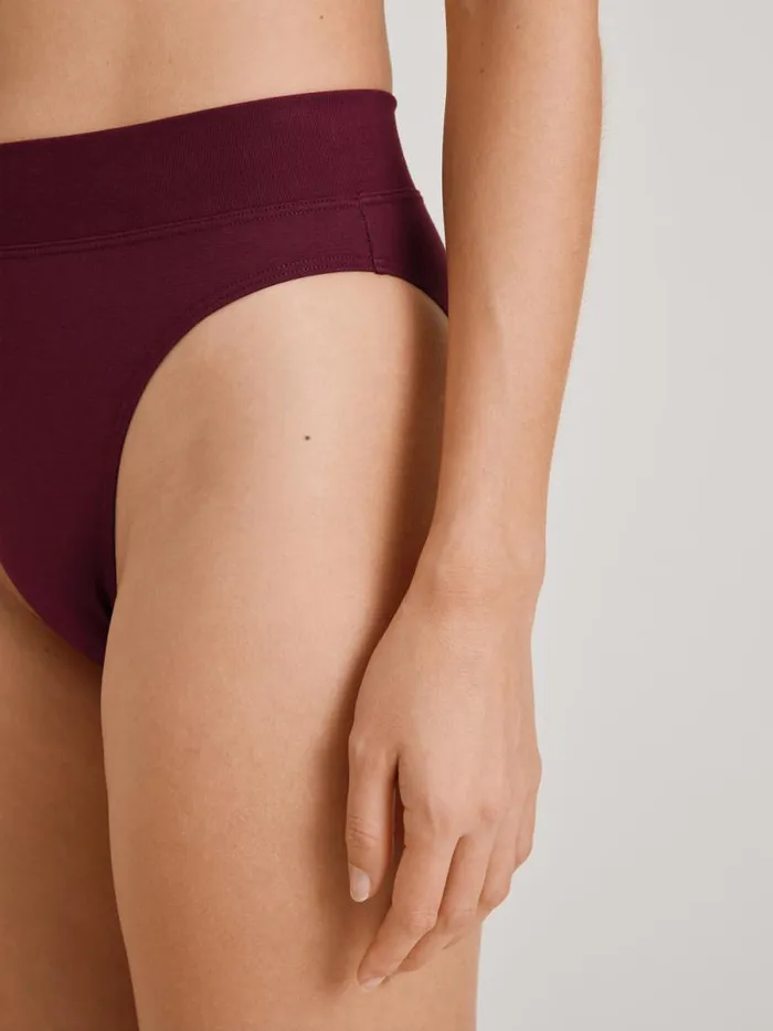 CALIDA Bottoms Brief High Waist English Red 8211 Women