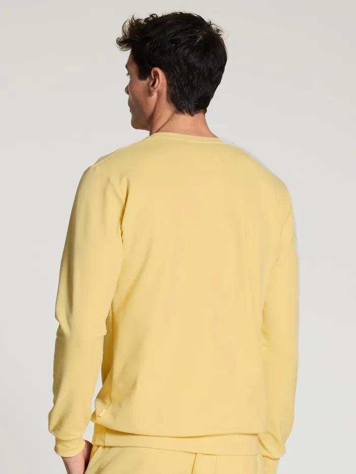 CALIDA Sweatshirts and Jackets Sweatshirt Straw 8211 Men