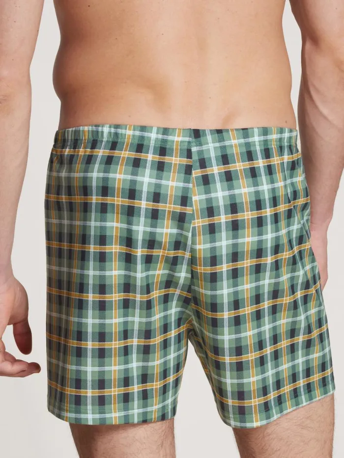CALIDA Underpants Boxer Shorts Laurel Green 8211 Men