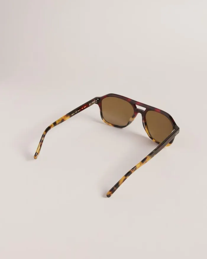 Chunky Aviator Sunglasses Tortoiseshell Men Ted Baker Sunglasses