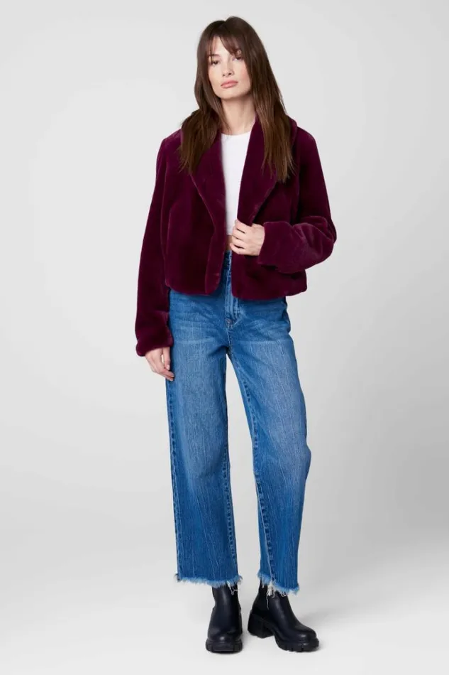 Dry Martini Jacket Women Blank NYC Jackets