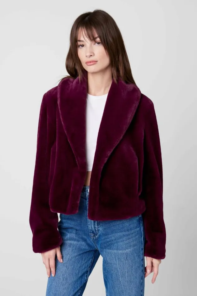Dry Martini Jacket Women Blank NYC Jackets