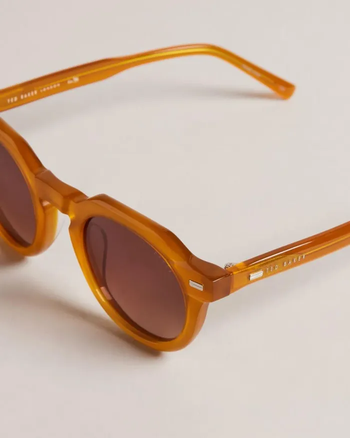 Flat Top Round Sunglasses Honey Men Ted Baker Sunglasses Flat Top Round Sunglasses Honey Men Ted Baker Sunglasses