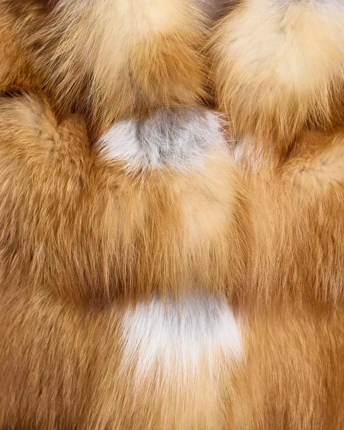 Jackets Women039s Maximilian Collarless Fox Jacket