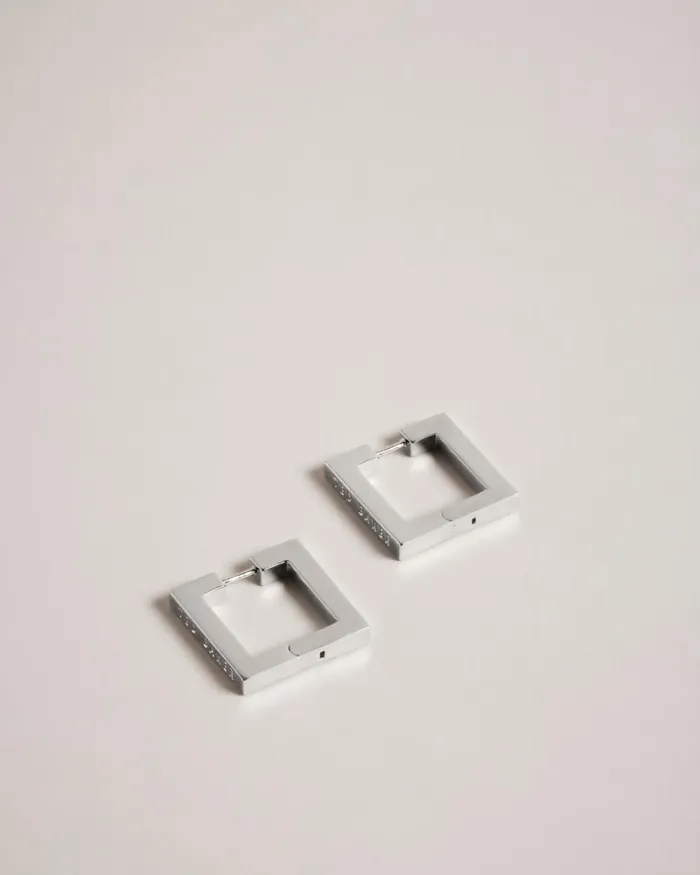 Large Square Hinge Earrings Silver Color Women Ted Baker Jewelry