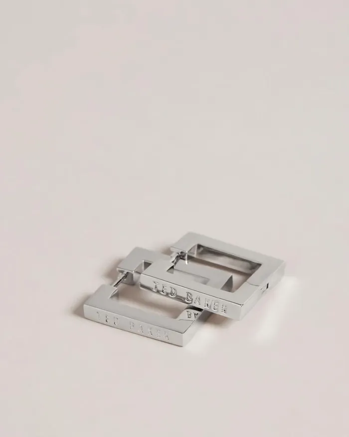 Large Square Hinge Earrings Silver Color Women Ted Baker Jewelry