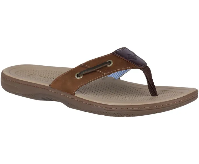 Men Baitfish FlipFlops Brown Buc Brown Sperry Sandals Men Baitfish FlipFlops Brown Buc Brown Sperry Sandals