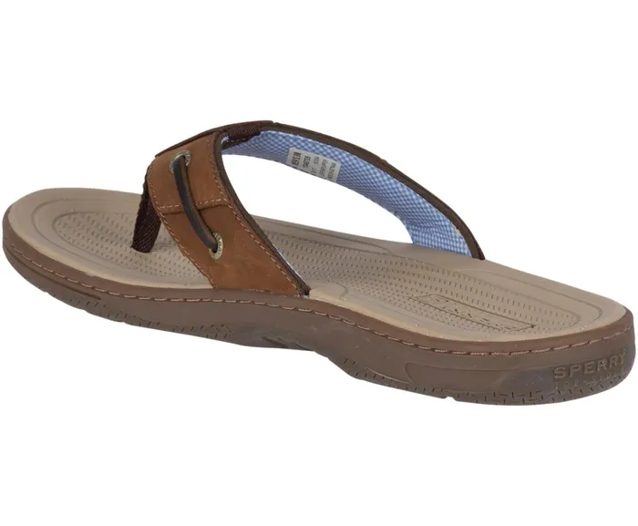 Men Baitfish FlipFlops Brown Buc Brown Sperry Sandals Men Baitfish FlipFlops Brown Buc Brown Sperry Sandals