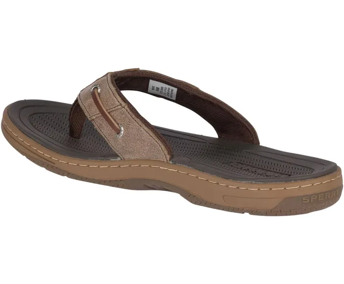 Men Baitfish FlipFlops Brown Sperry Sandals Men Baitfish FlipFlops Brown Sperry Sandals