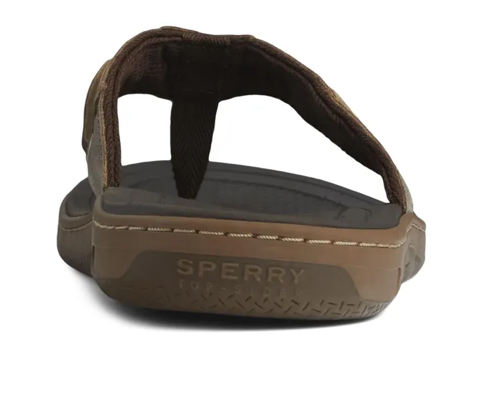 Men Baitfish FlipFlops Brown Sperry Sandals Men Baitfish FlipFlops Brown Sperry Sandals