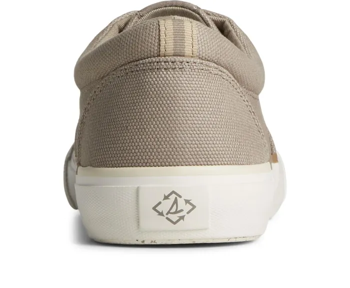 Men SeaCycled Striper II Palm Sneaker Taupe Sperry Sneakers Men SeaCycled Striper II Palm Sneaker Taupe Sperry Sneakers