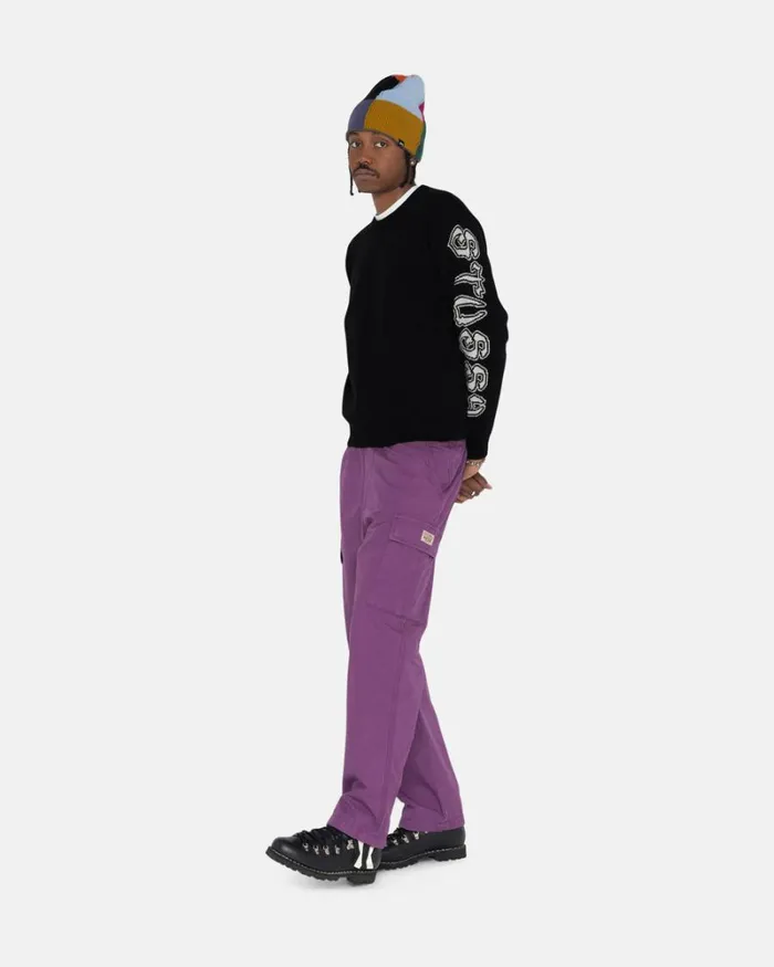 Pants Men Stussy RIPSTOP CARGO BEACH PANT Purple Pants Men Stussy RIPSTOP CARGO BEACH PANT Purple