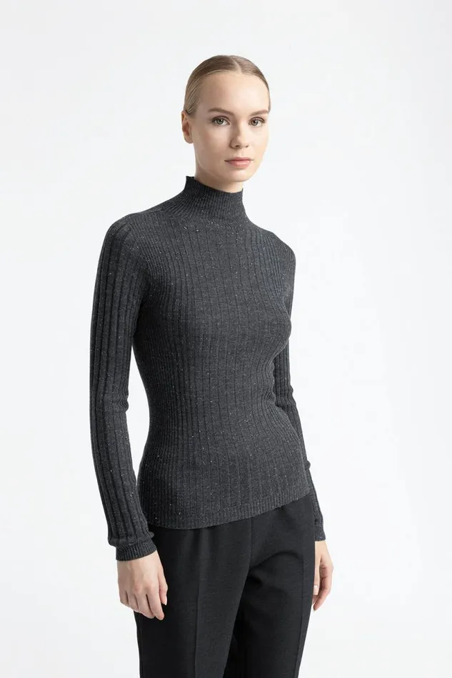 Peserico Knitwear Woman Wool High Neck Ribbed Sweater Graphite