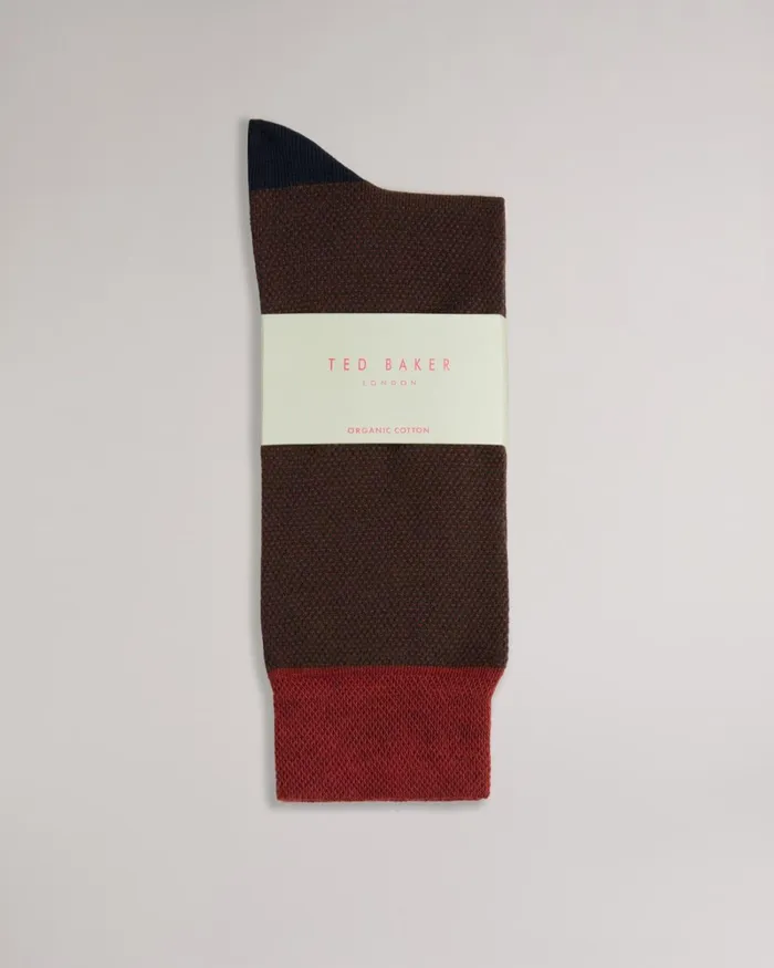 Semi Plain Socks Orange Men Ted Baker Socks