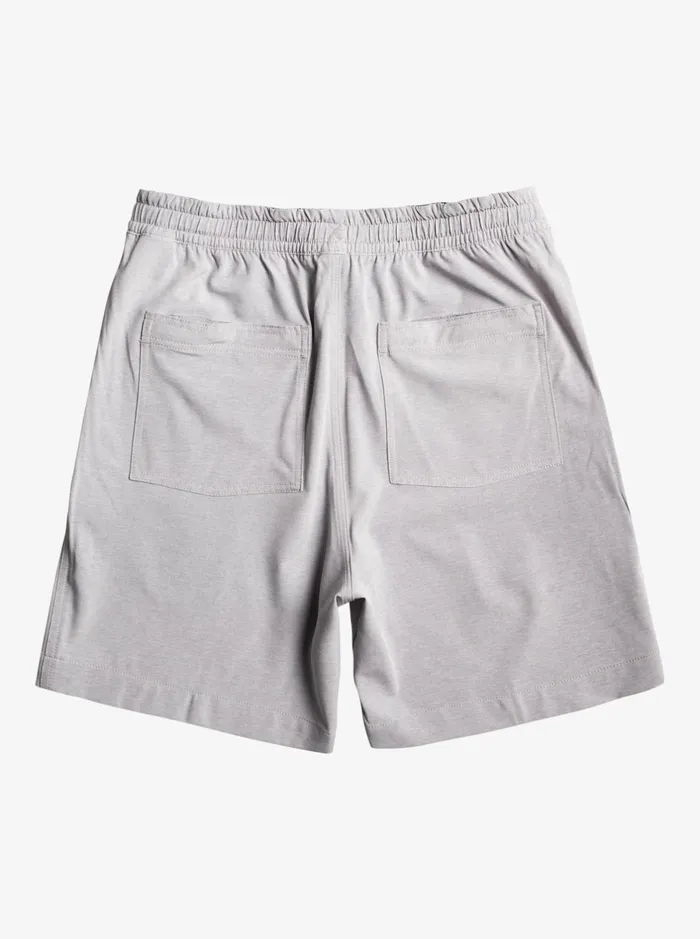 Shorts and Amphibians Men Quiksilver Taxer Heather 18034 Amphibian Boardshorts Sleet Shorts and Amphibians Men Quiksilver Taxer Heather 18034 Amphibian Boardshorts Sleet