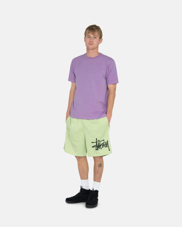 Shorts Men Stussy BIG BASIC MESH SHORT Light Lime Shorts Men Stussy BIG BASIC MESH SHORT Light Lime