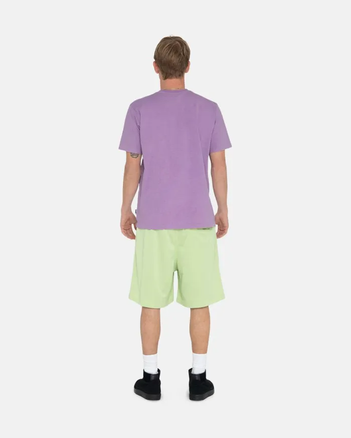 Shorts Men Stussy BIG BASIC MESH SHORT Light Lime Shorts Men Stussy BIG BASIC MESH SHORT Light Lime