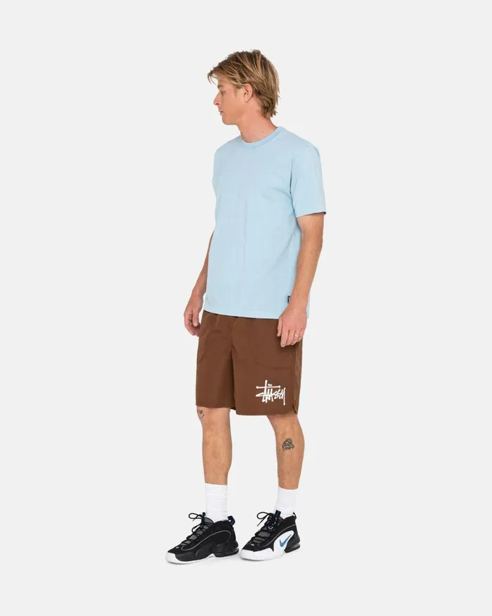 Shorts Men Stussy BIG BASIC WATER SHORT Coffee Shorts Men Stussy BIG BASIC WATER SHORT Coffee