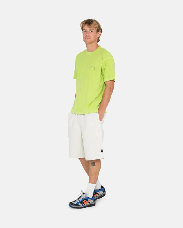 Shorts Men Stussy BRUSHED BEACH SHORT Bone Shorts Men Stussy BRUSHED BEACH SHORT Bone