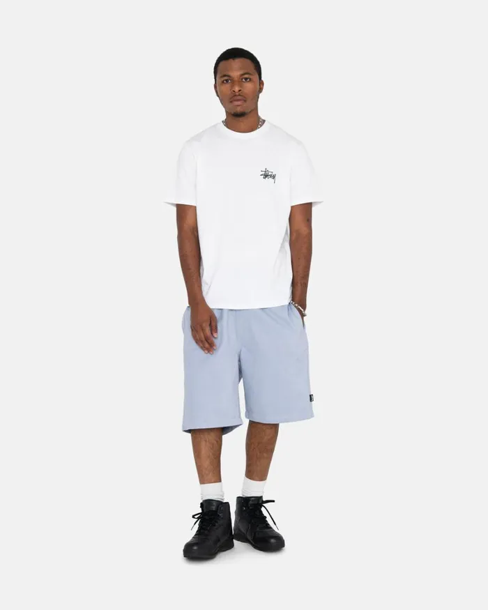 Shorts Men Stussy BRUSHED BEACH SHORT Dusty Blue Shorts Men Stussy BRUSHED BEACH SHORT Dusty Blue