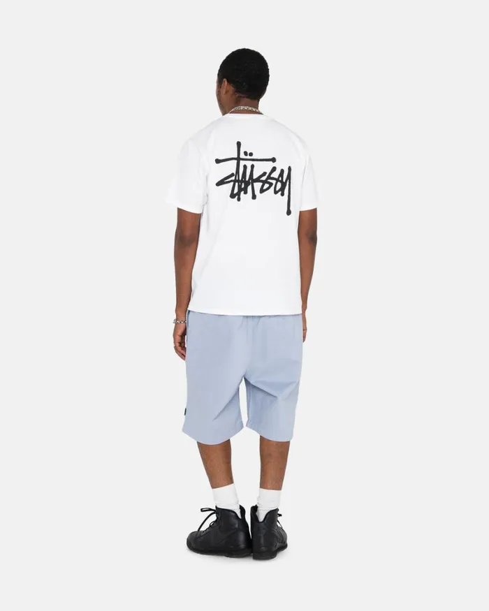 Shorts Men Stussy BRUSHED BEACH SHORT Dusty Blue Shorts Men Stussy BRUSHED BEACH SHORT Dusty Blue