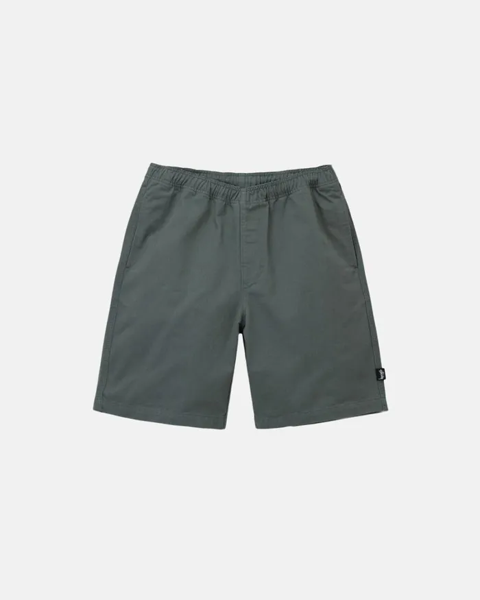 Shorts Men Stussy BRUSHED BEACH SHORT Sage