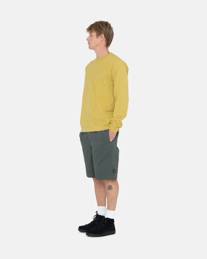 Shorts Men Stussy BRUSHED BEACH SHORT Sage Shorts Men Stussy BRUSHED BEACH SHORT Sage