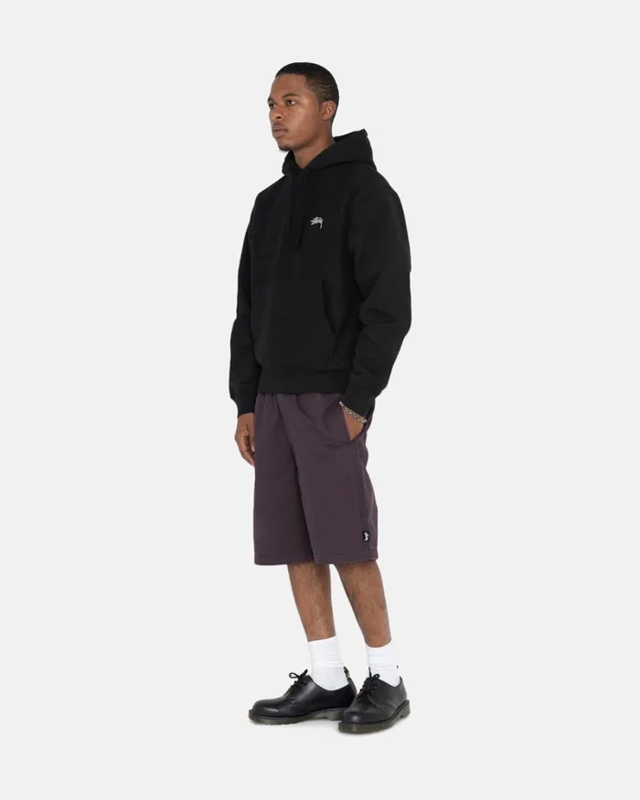 Shorts Men Stussy BRUSHED BEACH SHORT Wine Shorts Men Stussy BRUSHED BEACH SHORT Wine