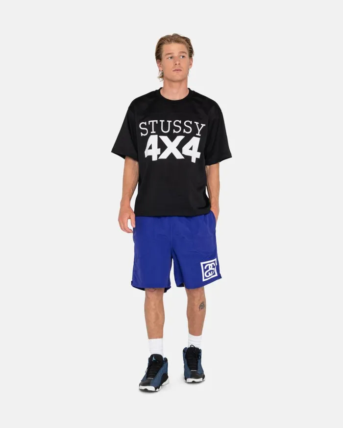 Shorts Men Stussy SSLINK WATER SHORT Purple Shorts Men Stussy SSLINK WATER SHORT Purple