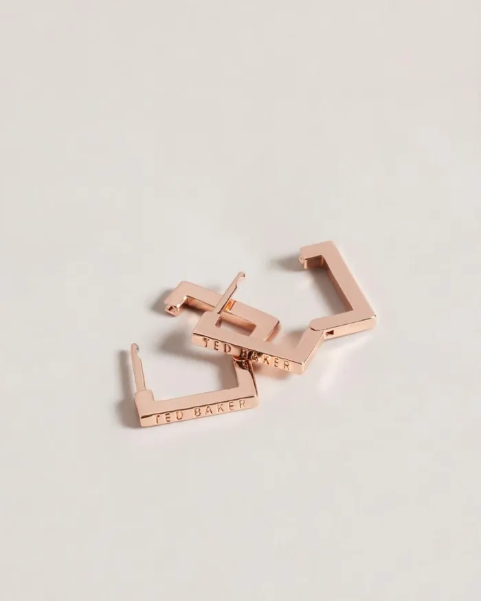Small Square Hinge Earrings Rosegold Color Women Ted Baker Jewelry