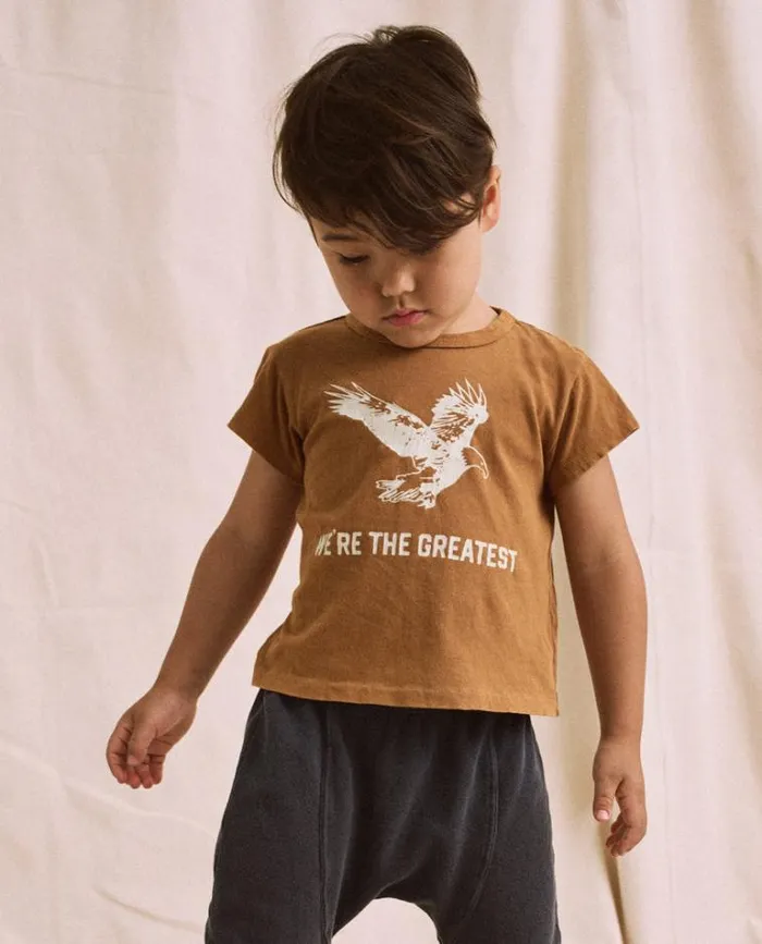 Tshirts Little039s The Great The Little Boxy Crew Cider With Eagle Graphic