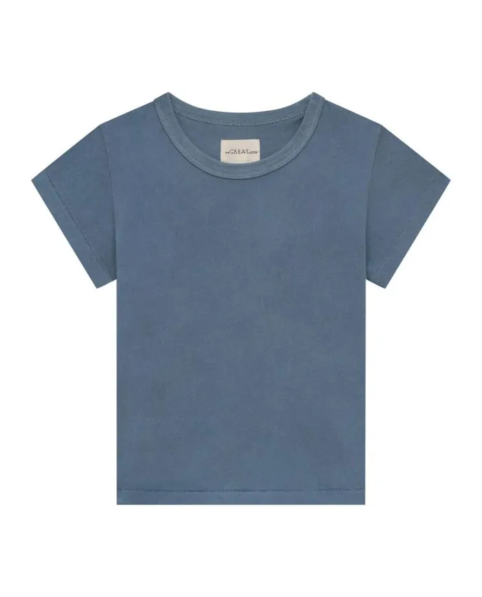 Tshirts Little039s The Great The Little Boxy Crew Vintage Cornflower