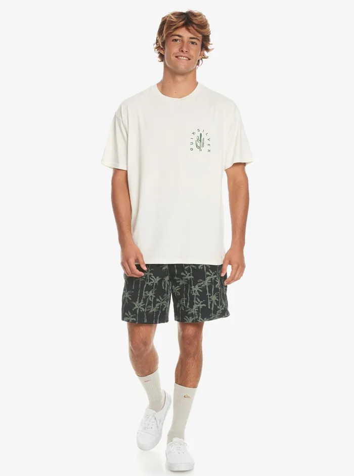 Tees Men Quiksilver Silver Lining TShirt Birch Tees Men Quiksilver Silver Lining TShirt Birch