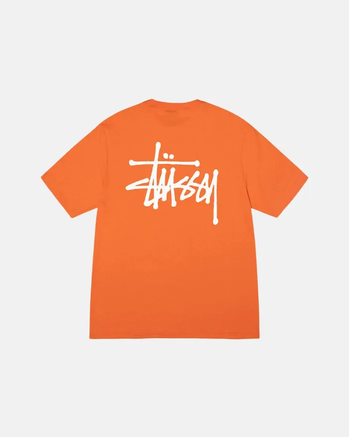 Tees Men Stussy BASIC STSSY TEE Coral