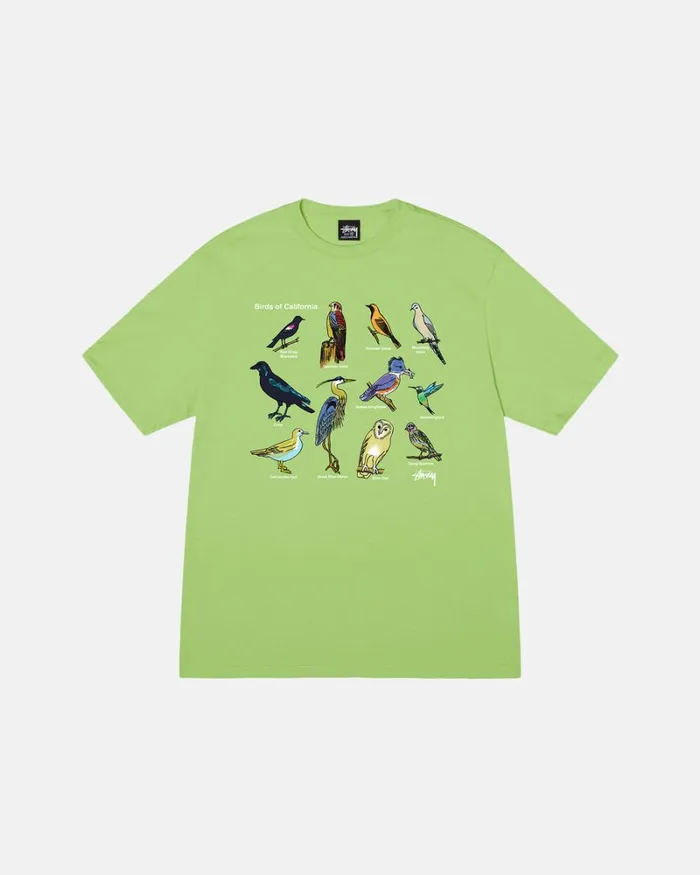 Tees Men Stussy CALIFORNIA BIRDS TEE Tea