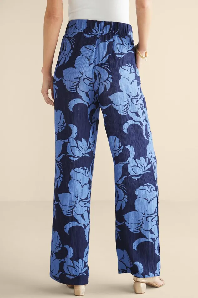 Women Oceo Gauze WideLeg Pants Black Soft Surroundings Pants Women Oceo Gauze WideLeg Pants Black Soft Surroundings Pants