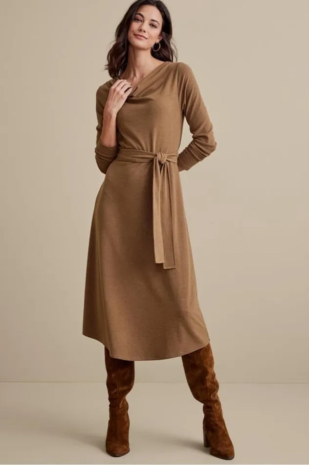 Women Paula Dress Cocoa Brown Soft Surroundings Dresses
